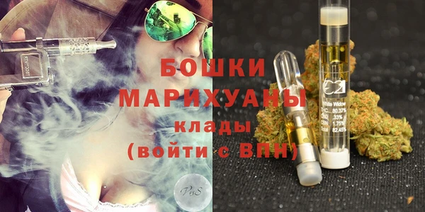 spice Алзамай