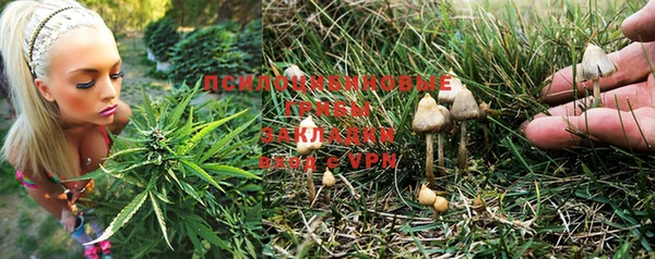 spice Алзамай