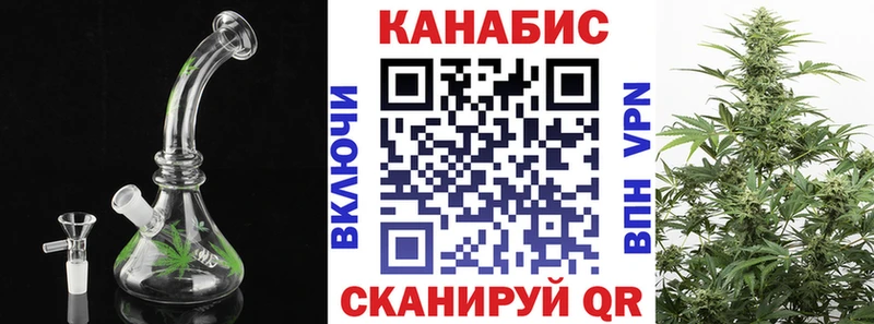 Бошки марихуана THC 21%  Ельня 